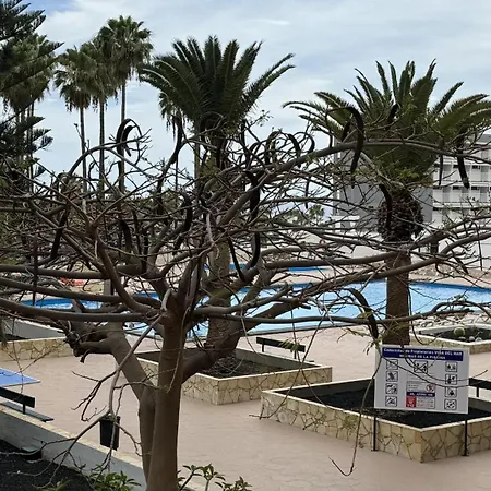 Costa Adeje Sun By Deihu Experiencias * Playa de las Americas (Tenerife)